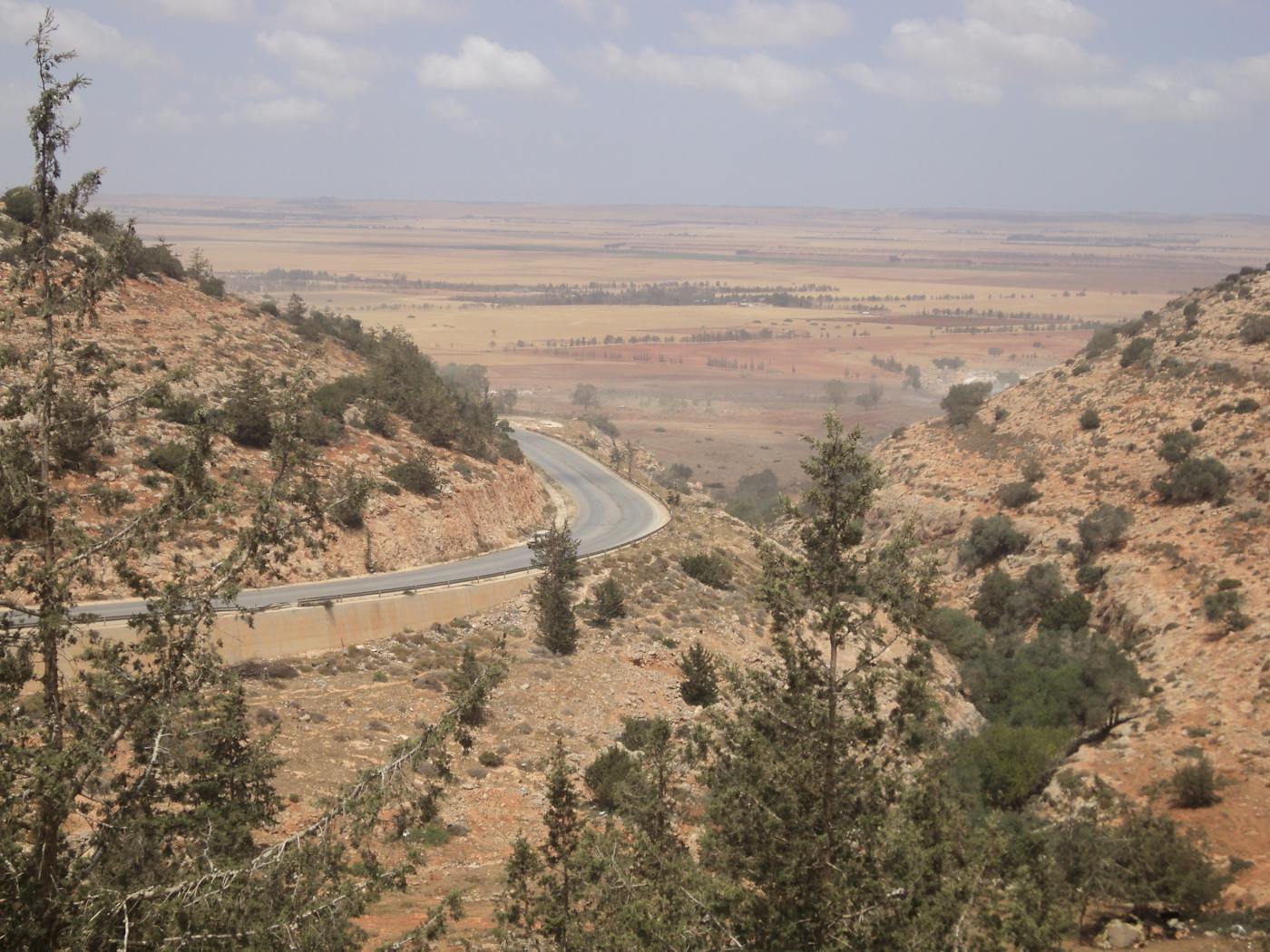 South Mediterranean Mixed Woodlands & Forests (PA23)